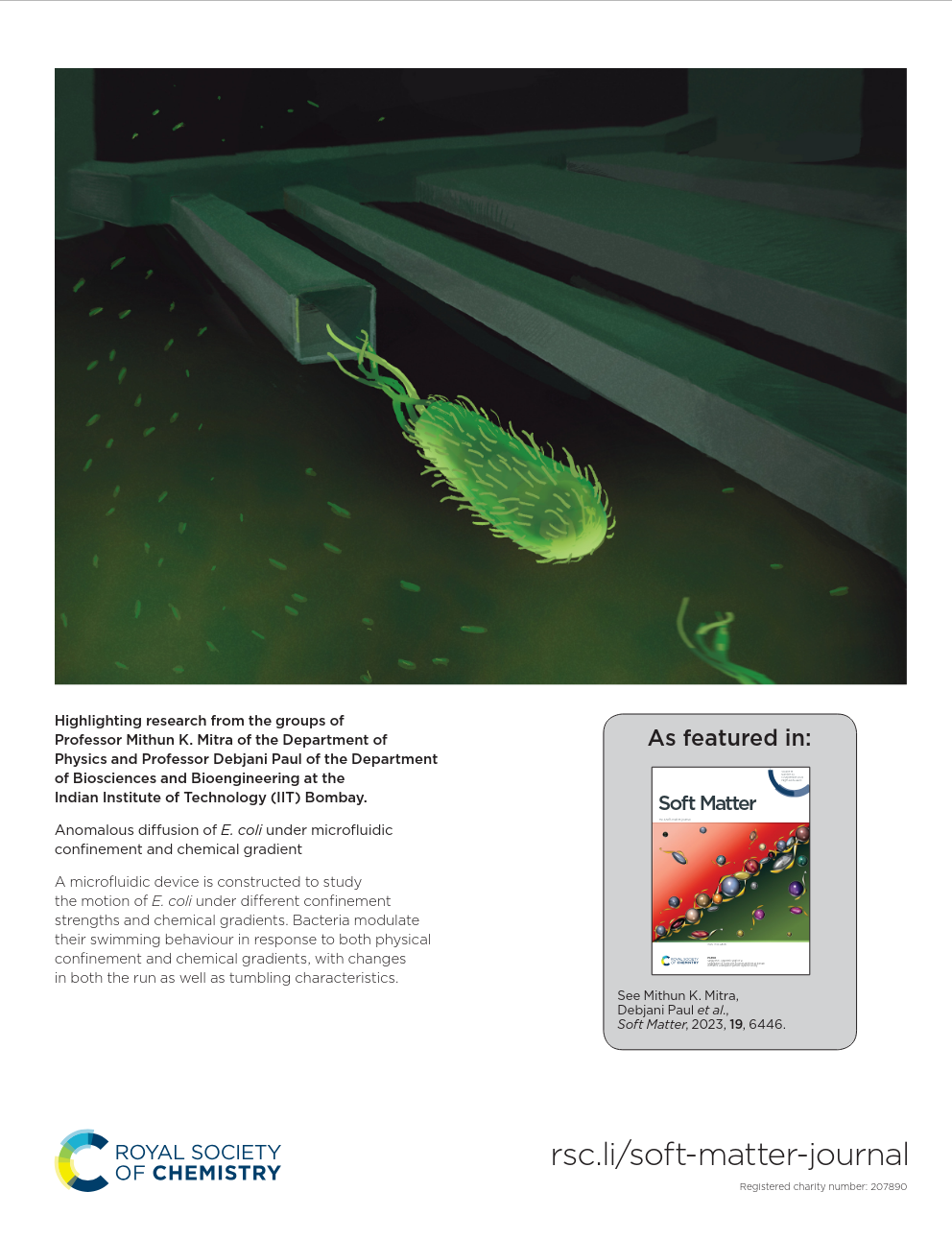 E. coli diffusion in microfluidic confinement