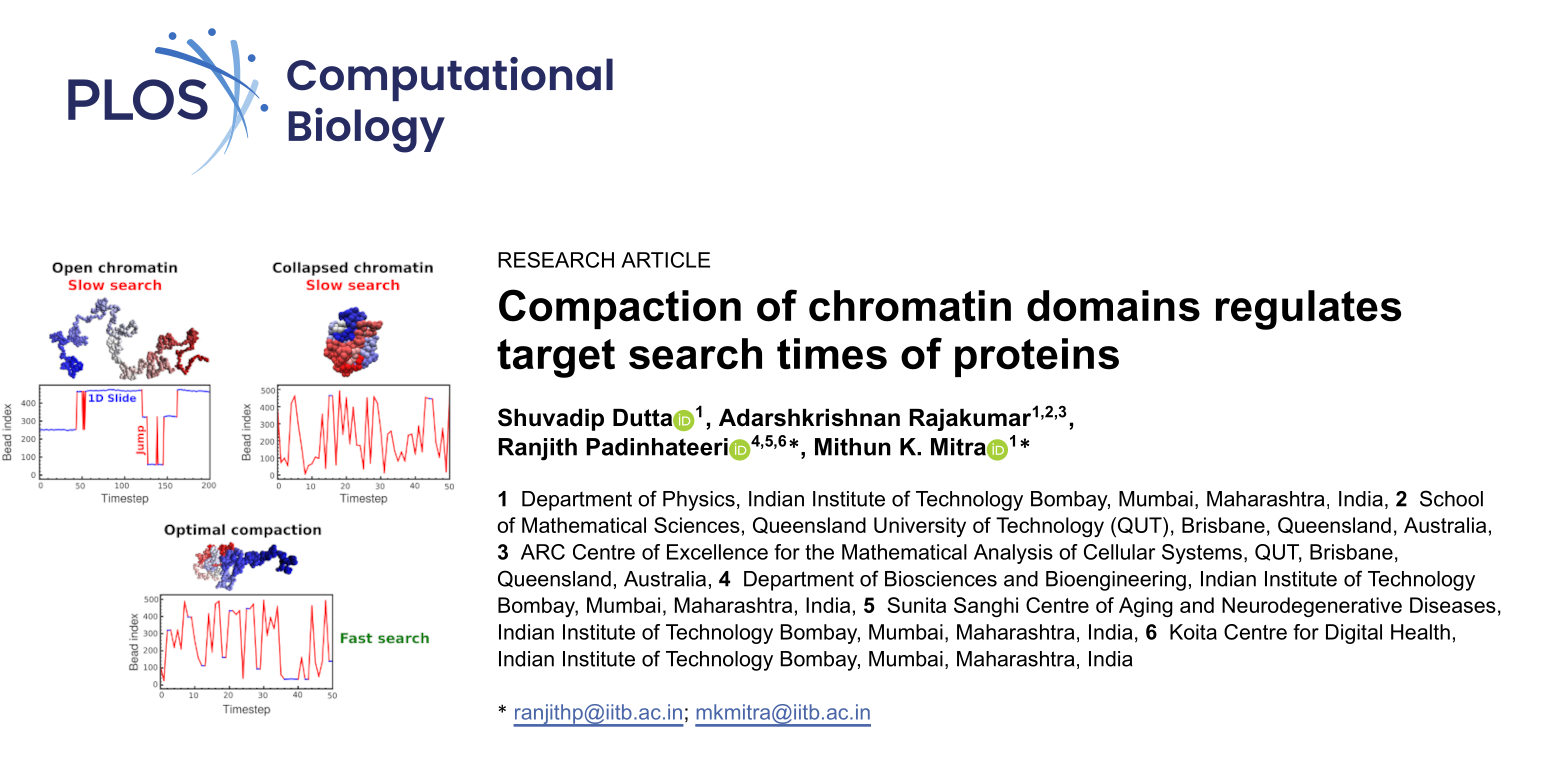 Target Search using intersegmental jumps